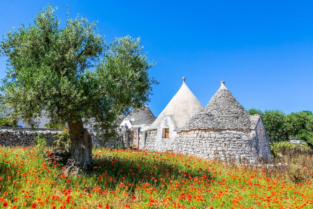 Апартаменти Domus Otium Ostuni - Tiny House Екстер'єр фото